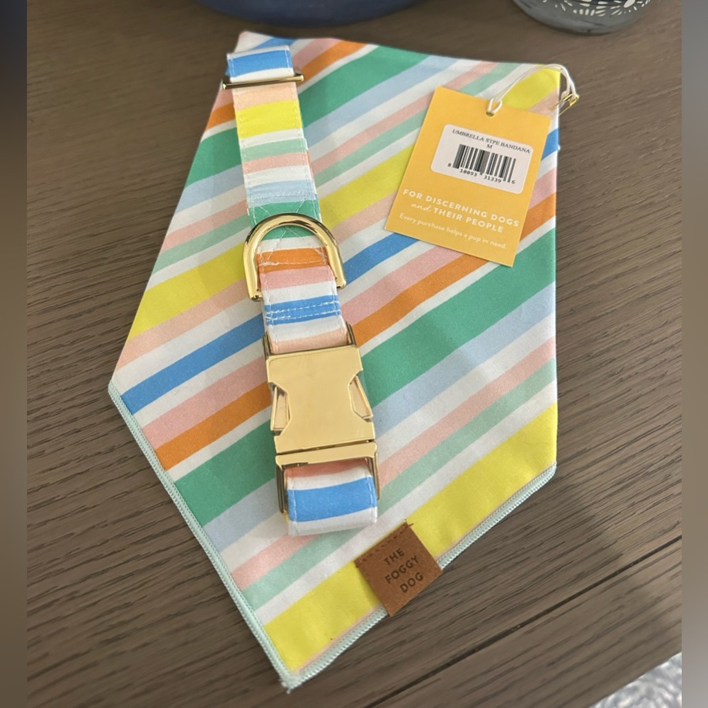 The Foggy Dog Umbrella Striped Collar/Bandana Set